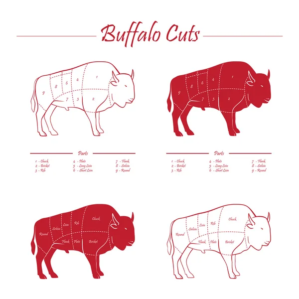 Buffalo škrty schéma — Stockový vektor