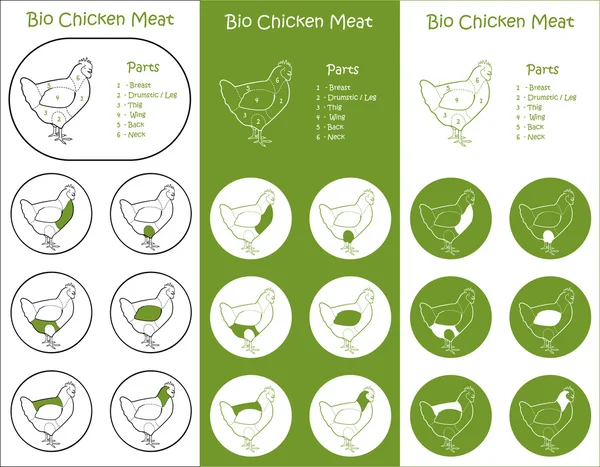 Piezas de carne de aves de corral bio iconos — Vector de stock