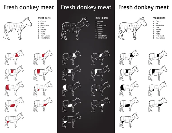Pièces de viande d'âne de ferme — Image vectorielle