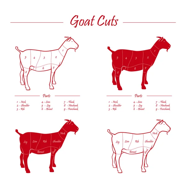 GOAT meat cuts — Stock Vector