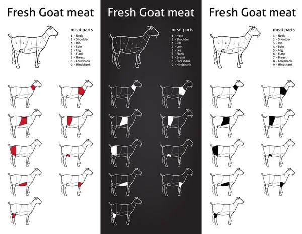 Części mięsa świeżego koza — Wektor stockowy
