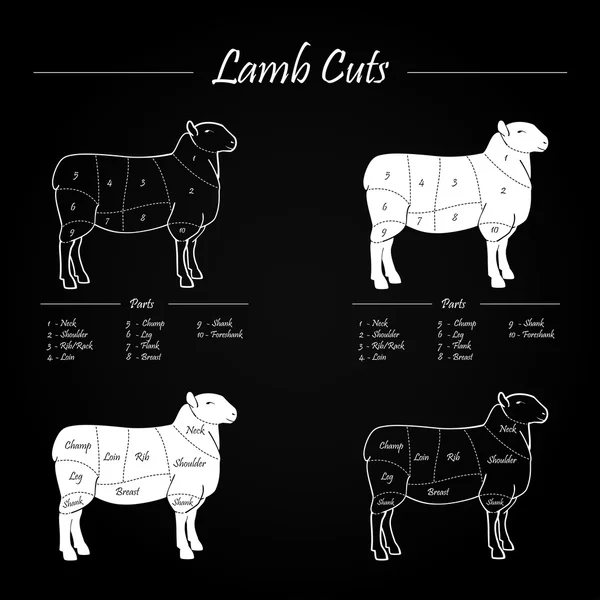 LAMB CUTS SCHEME — Stock Vector