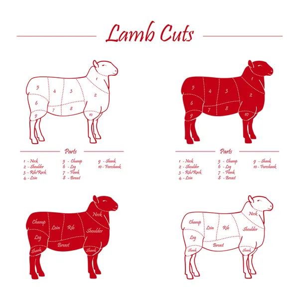 LAMB CUTS SCHEME — Stock Vector