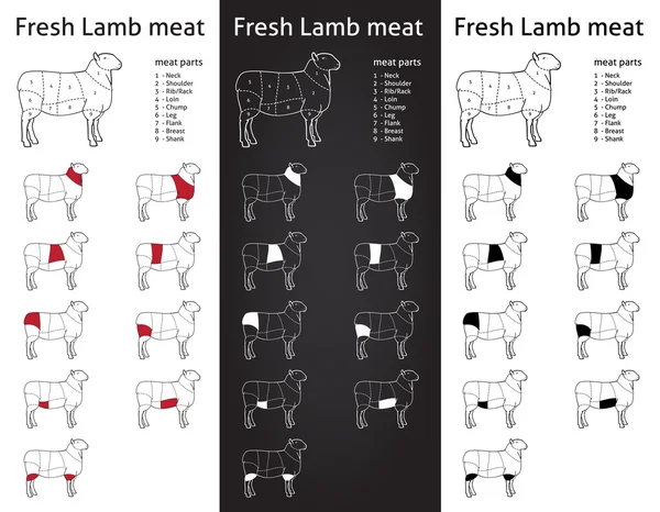 Piezas de carne de cordero fresco — Archivo Imágenes Vectoriales