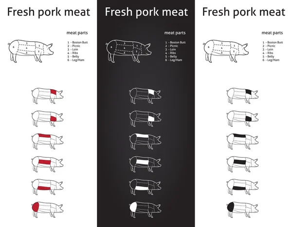 Farm Pork meat parts — Stock Vector