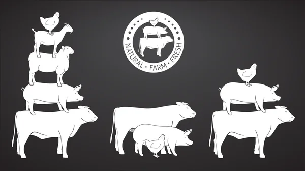 Pirámide de animales — Vector de stock