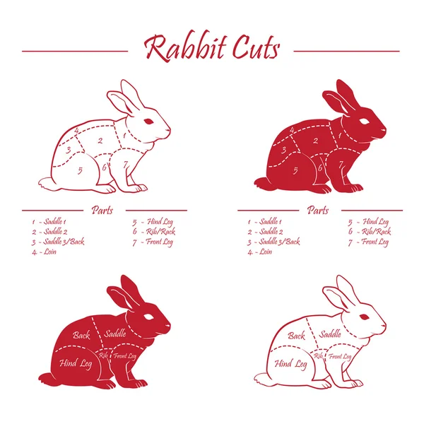 Tavşan eti kesim düzeni — Stok Vektör