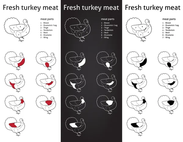 Çiftliği hindi eti parçaları — Stok Vektör