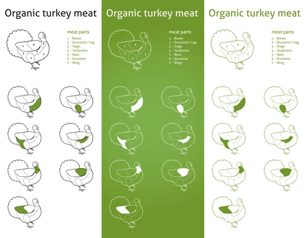 Parti di carne di tacchino biologico — Vettoriale Stock