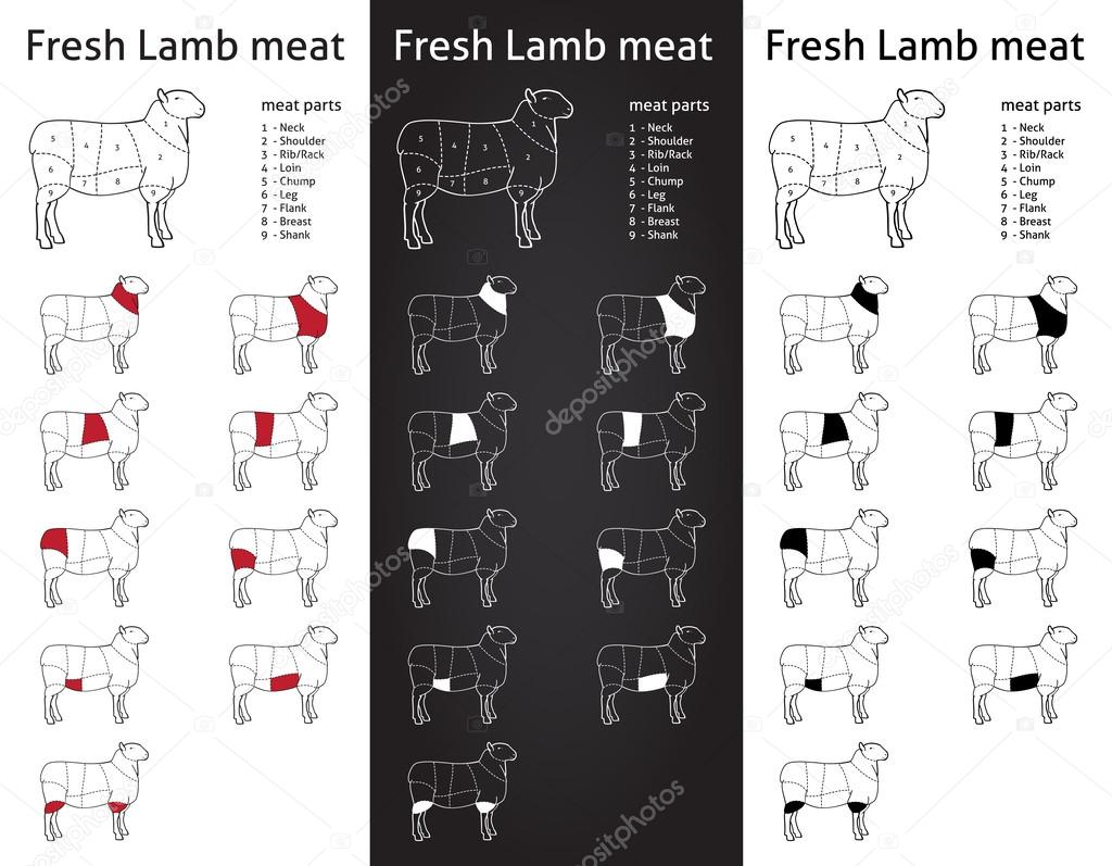 FRESH LAMB meat parts