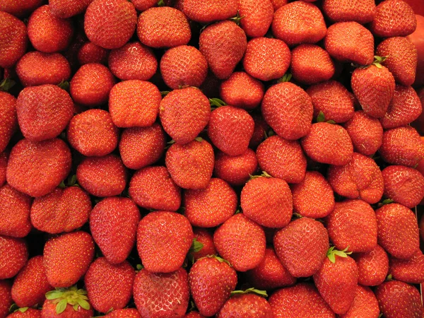 Fraises rouges — Photo