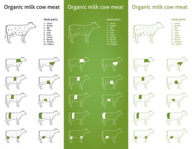 organik süt inek eti parçaları simgeler için paketleme ve bilgi grafiği