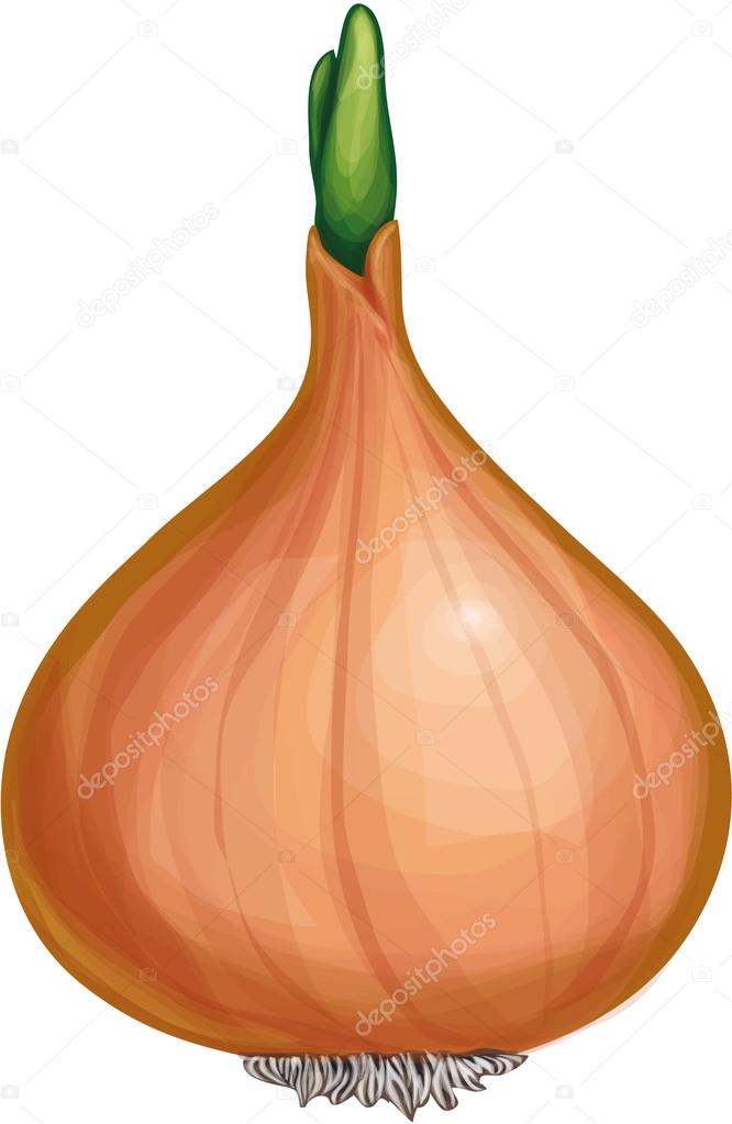 Ground vegetables onion