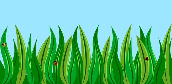 Ladybugs in the grass