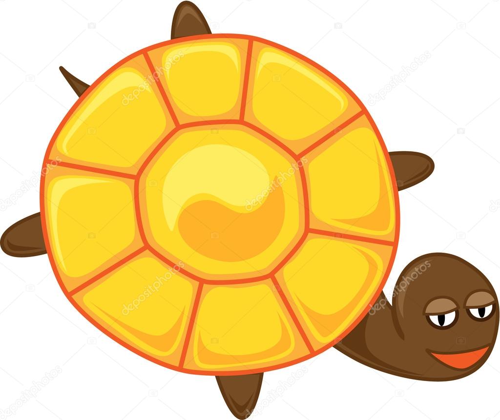 Tortoise with yin-yang