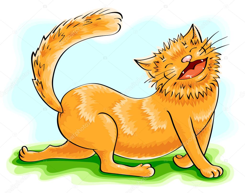 Funny ginger cat