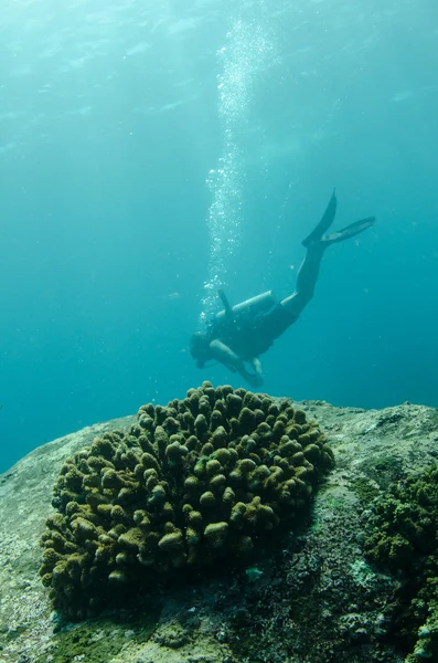 Pessoas mergulhando no mar do Caribe — Fotografia de Stock