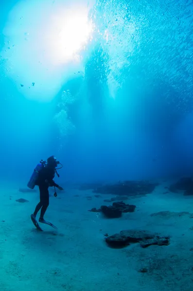 Mergulhadores interagindo com a vida subaquática — Fotografia de Stock