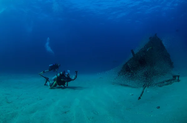 Divers interacting with underwater life