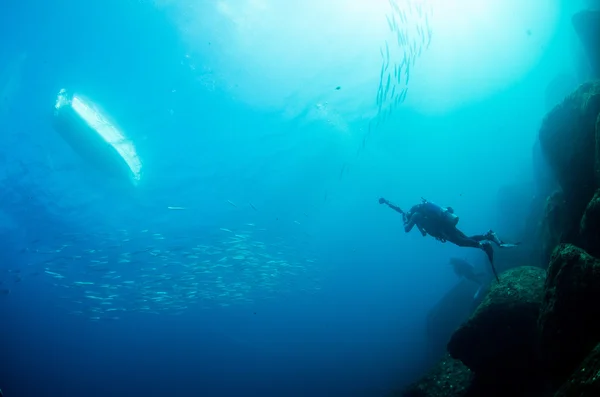 Buceadores interactuando con la vida submarina — Foto de Stock