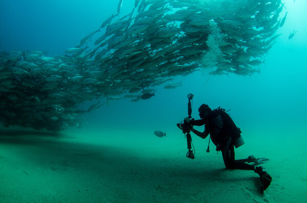 Школа Тревалли
