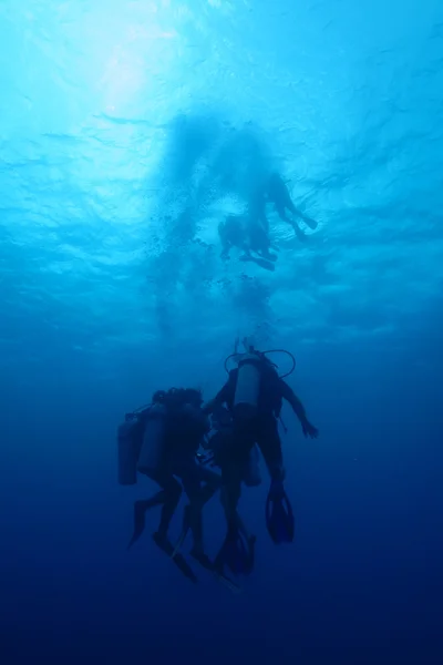 潜水员在加勒比海 — 图库照片