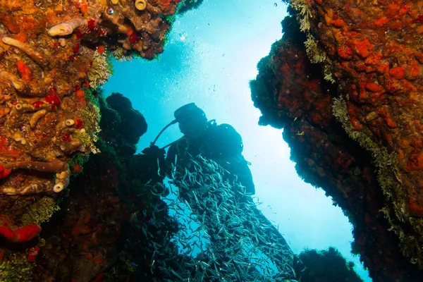 Mergulhadores em mar do Caribe — Fotografia de Stock