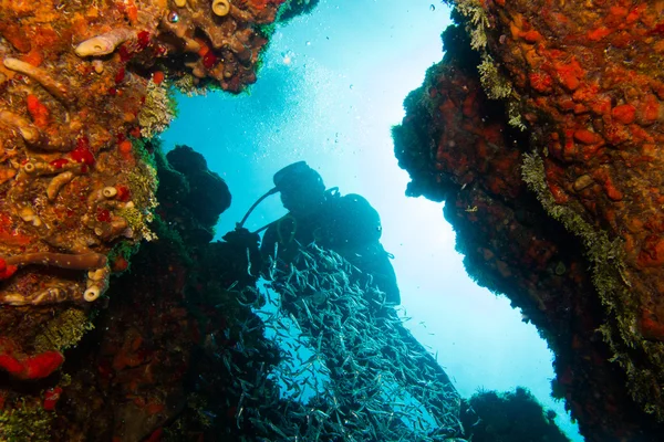 Divers in caribbean sea — Stock Photo, Image