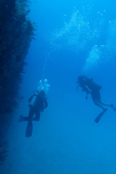 Divers in caribbean sea — Stock Photo, Image