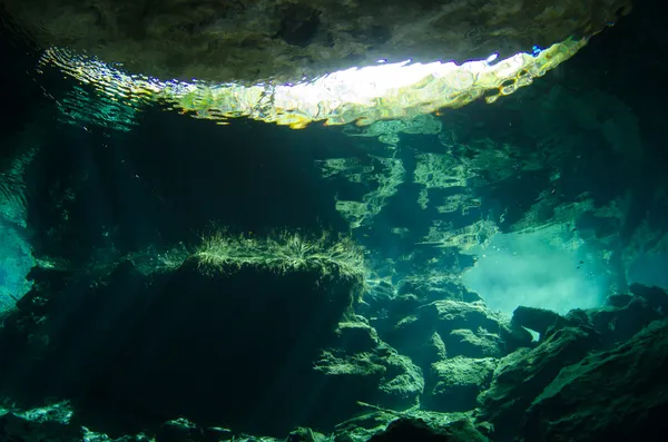 Cenotes od yucatan — Zdjęcie stockowe