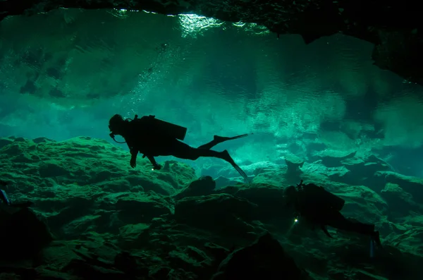 Cenotes van yucatan — Stockfoto