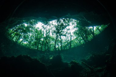 yucatan dan Cenotes