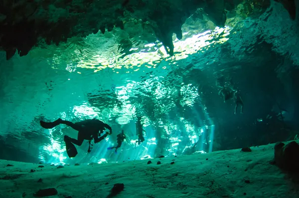 Cenotes fra Yucatan - Stock-foto