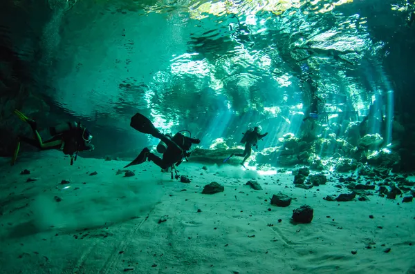 Cenotes From Yucatan — Stock Photo, Image