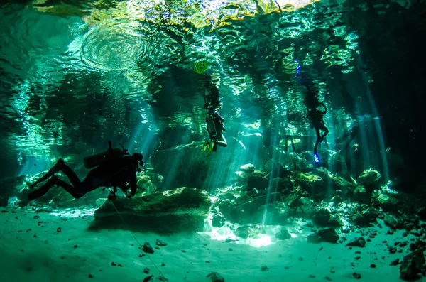Cenotes från yucatan — Stockfoto