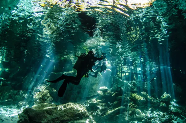 Cenotes od yucatan — Zdjęcie stockowe