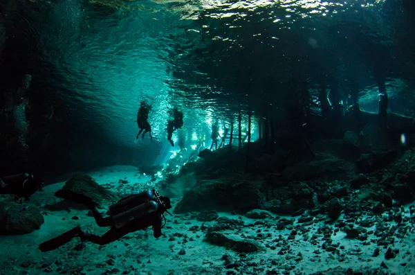 Cenotes od yucatan — Zdjęcie stockowe