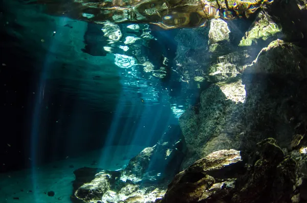 Cenotes od yucatan — Zdjęcie stockowe