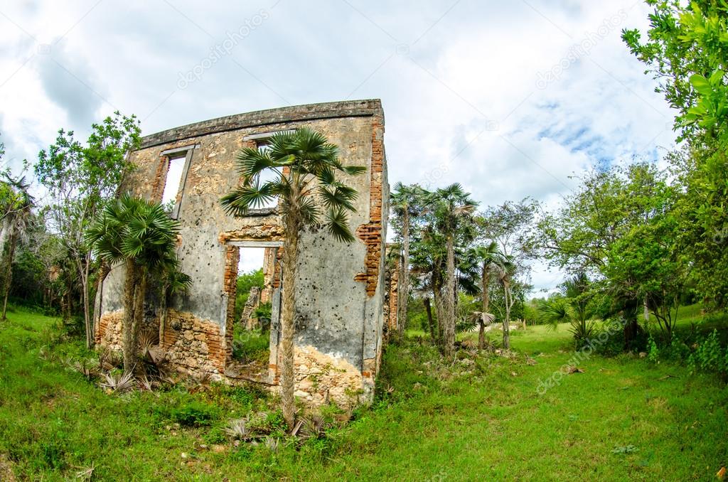 Ruins of a french plantation