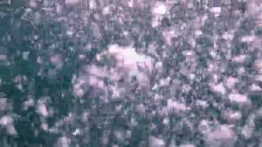 Kabarcıklar dalgıçlar dan