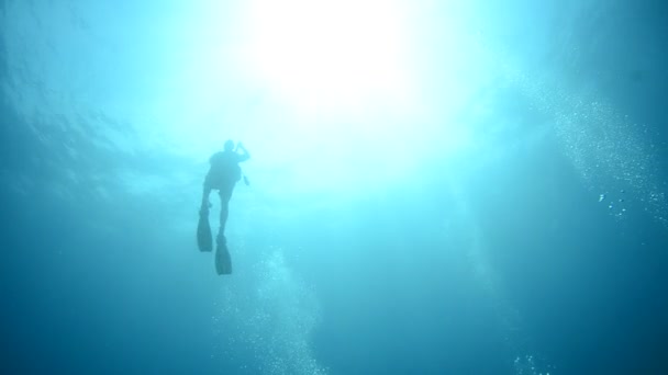 Divers underwater — Stock Video