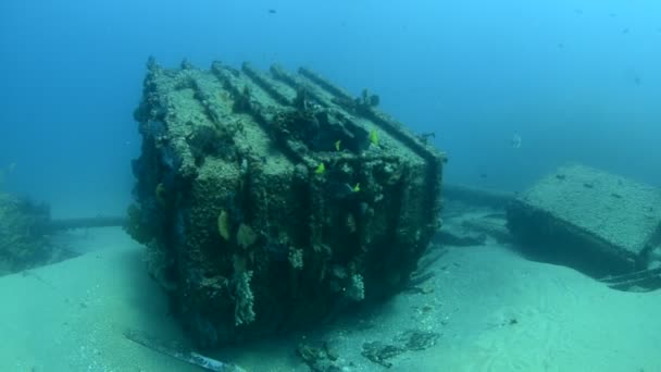 Shipwreck underwater — Stock Video