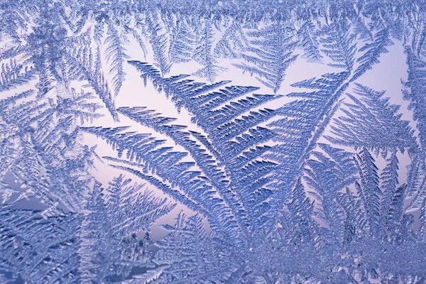 Blue Winter Background Ice Crystals Window Glass Resembling Plant December — Stock Photo, Image