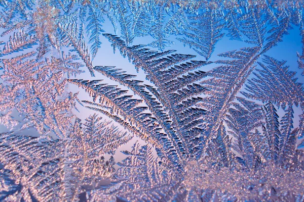 Winter Background Ice Crystals Window Glass Resembling Plant December Frosty — Stock Photo, Image