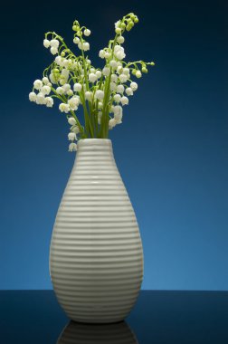 Lily vadi yansıma degrade mavi zemin üzerine