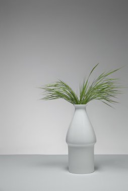 Saksının içinde yeşil çimen