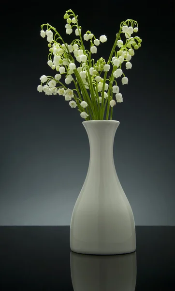 Lily of the valley on gradient gray background with reflection — Stock Photo, Image