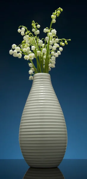 Lily of the valley on gradient blue background with reflection — Stock Photo, Image