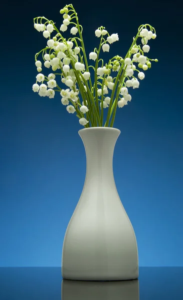 Maiglöckchen auf blauem Hintergrund mit Reflexion — Stockfoto