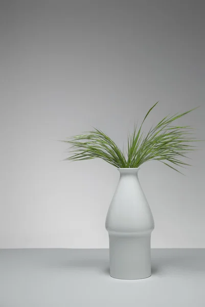 Green grass in flowerpot — Stock Photo, Image